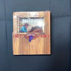 Rodeo Star 1 Book and Horse Figurine Set from Silver Dolphin Books 🐴